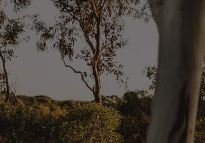 Bild: 5 Amazing Bikepacking Trails That You Won't Forget In A Hurry