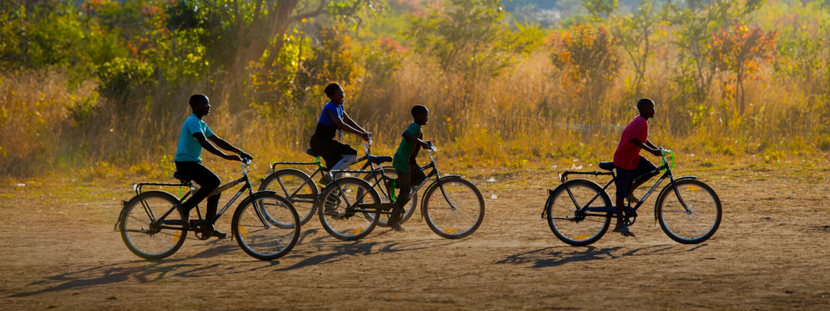 Quad Lock celebrates World Bicycle Day: The Buffalo Ride 2024 - Quad ...