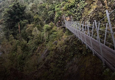 Image: 5 of the Best Mountain Biking Trails in New Zealand