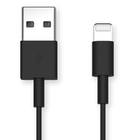 Immagine: Cavo da USB-A a Lightning
